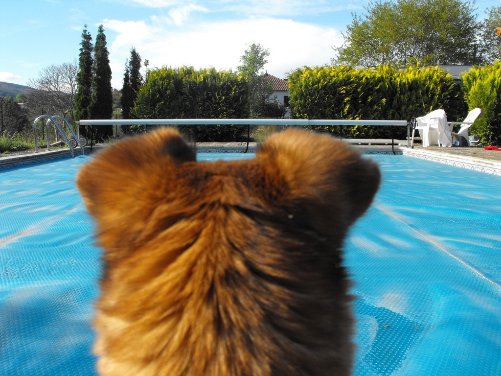  Enviado por Maria louro 