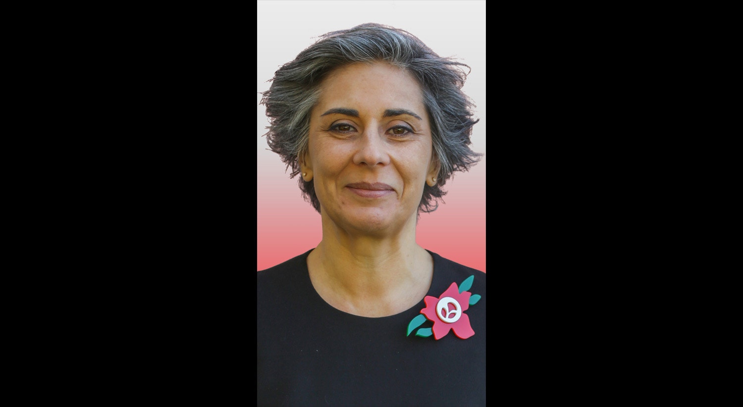  Isabel Santos, PS - 1.&ordm; mandato 