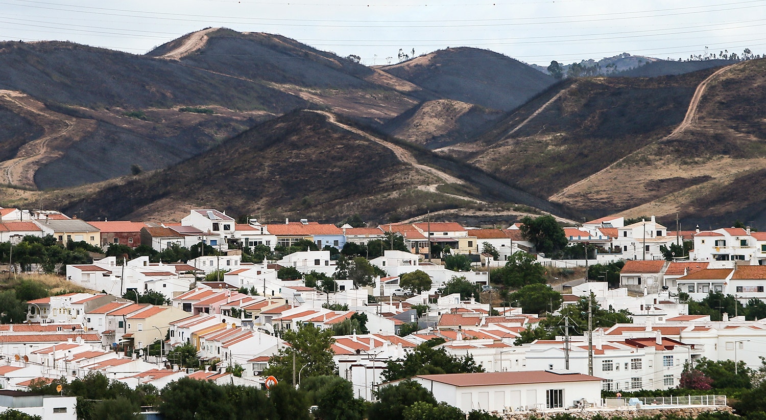  Silves /Lu&iacute;s Forra - Lusa 