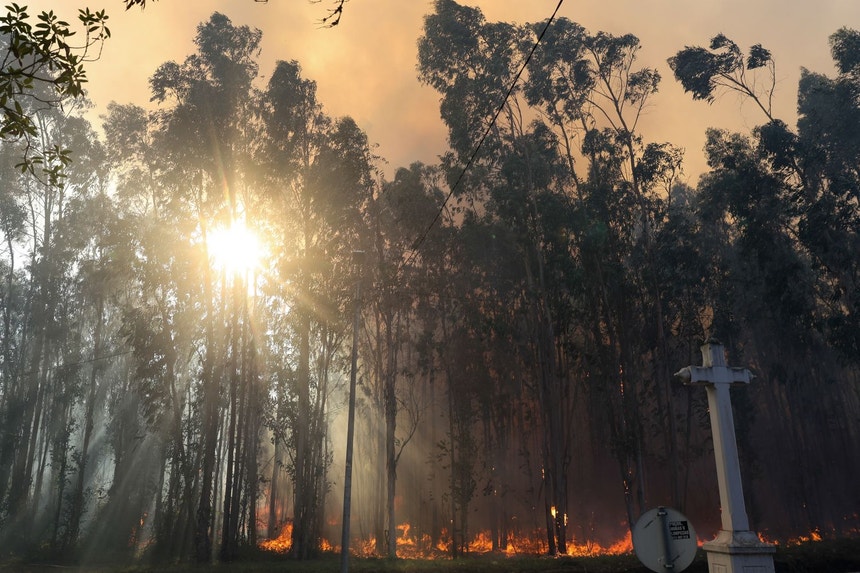Imagem de Fogo em Aveiro dado como dominado