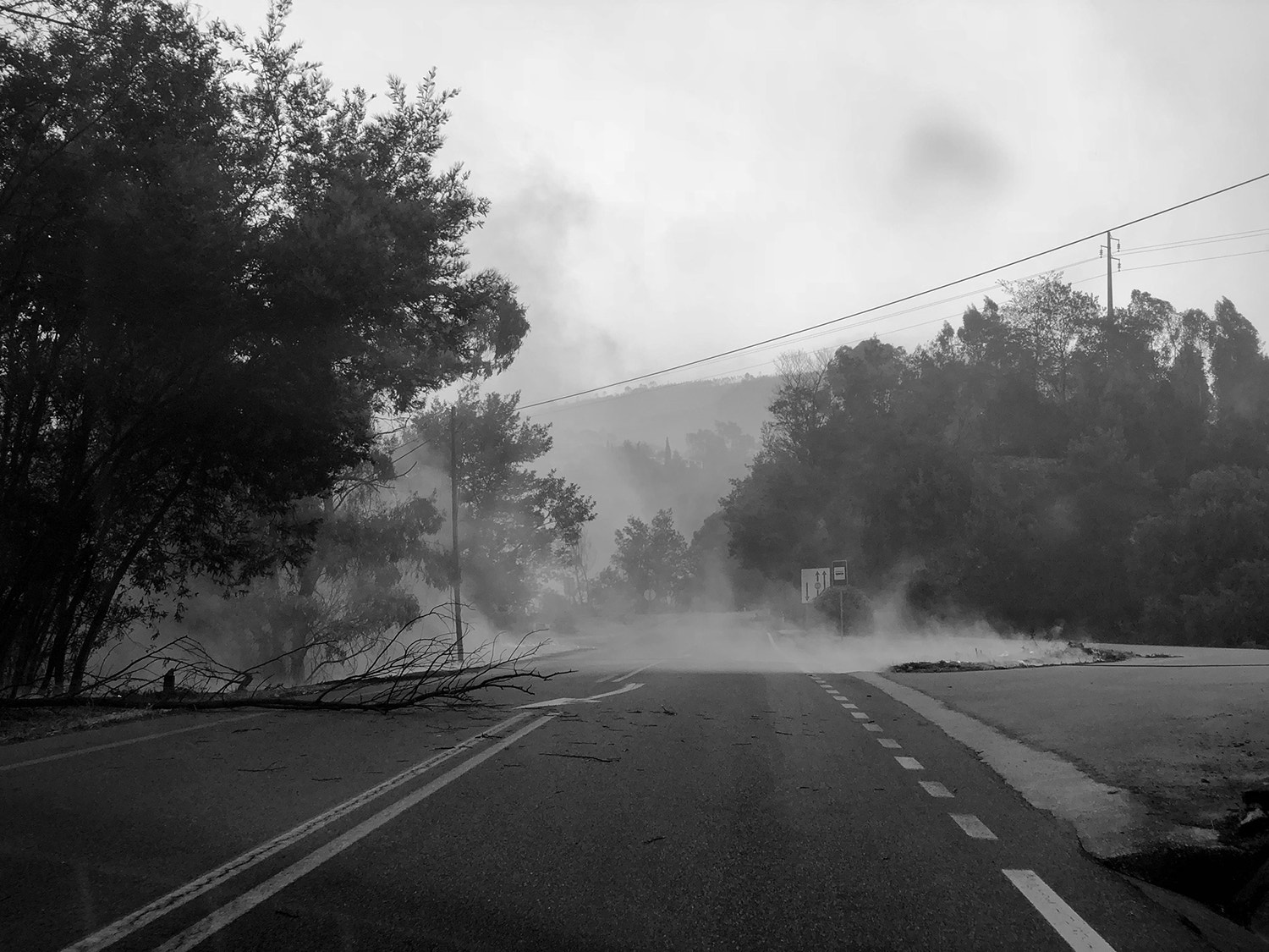  Foto: Miguel Soares - RTP 