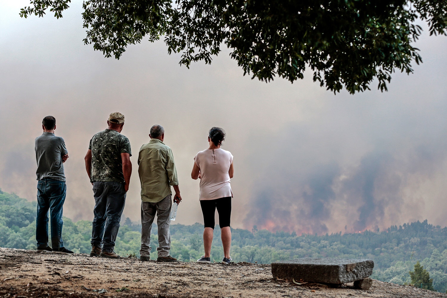 Filipe Farinha - Lusa 