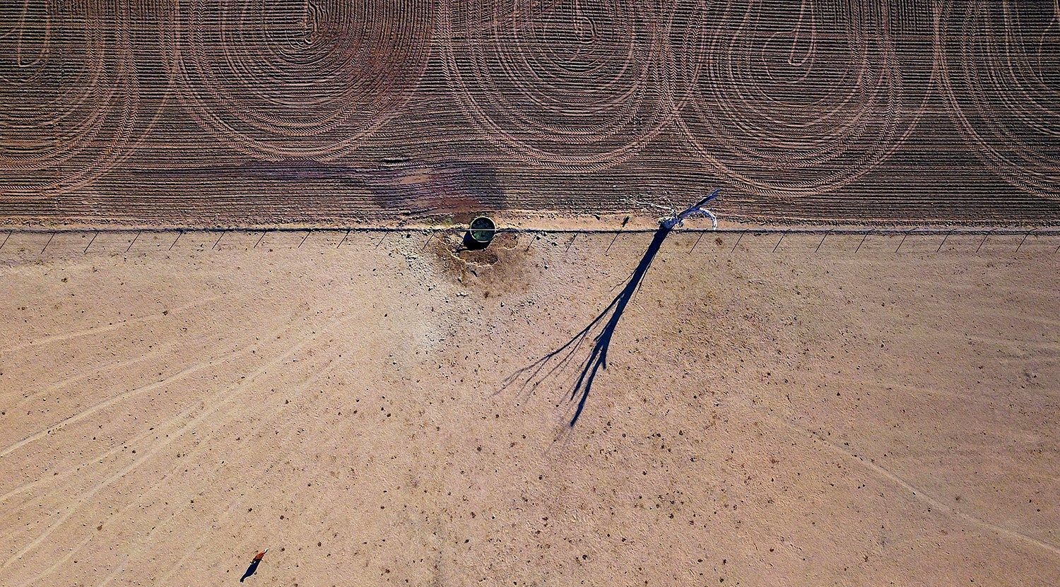  David Gray - Reuters 