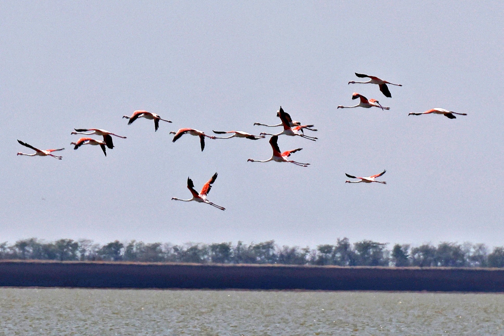 Ucrânia denuncia "terrorismo ecológico" russo no Parque Nacional das Lagoas Tuzly
