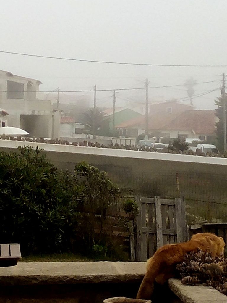  Enviada por Helena Jacobetty - Praia das Ma&ccedil;&atilde;s no seu melhor 