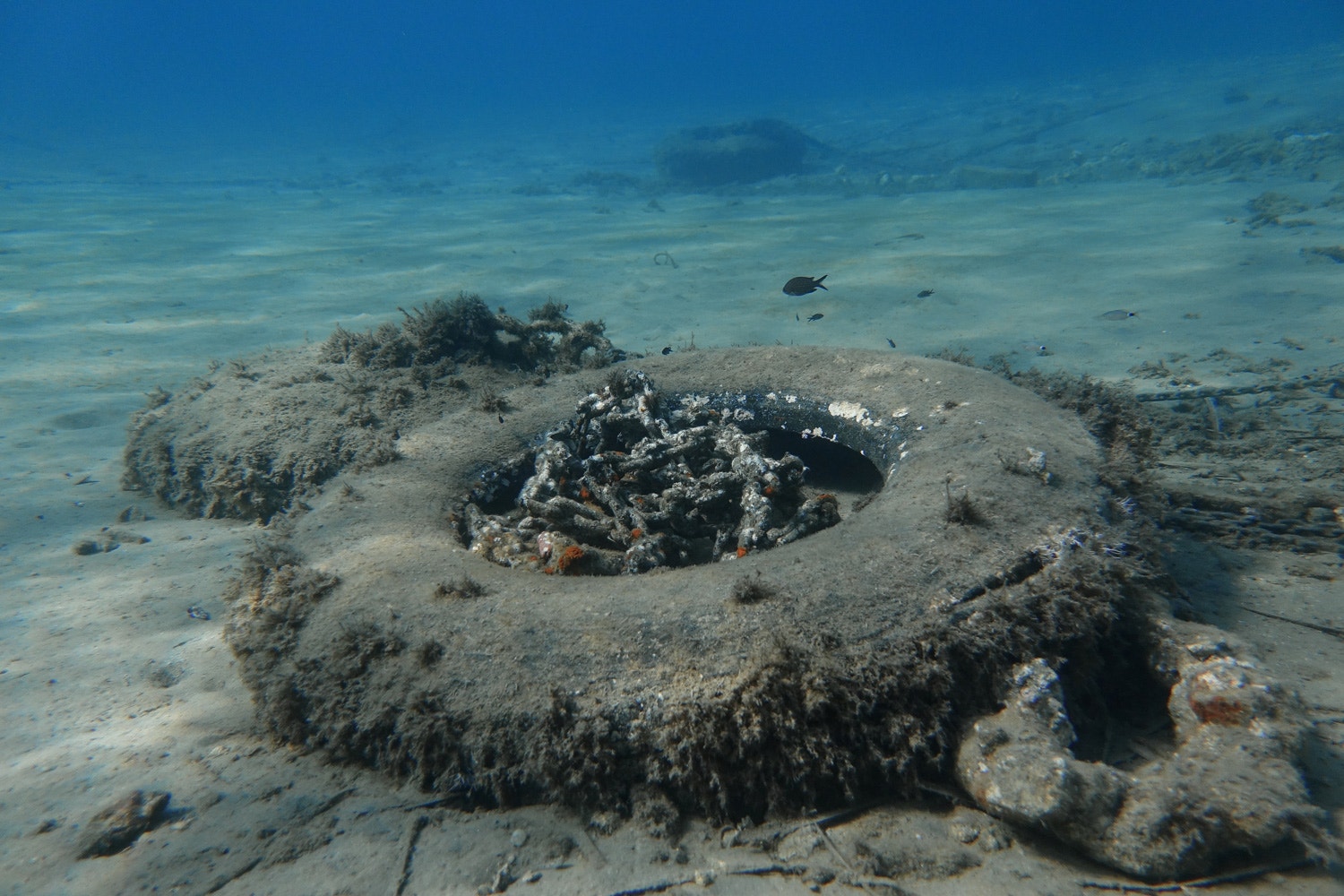  Stelios Misinas - Reuters 