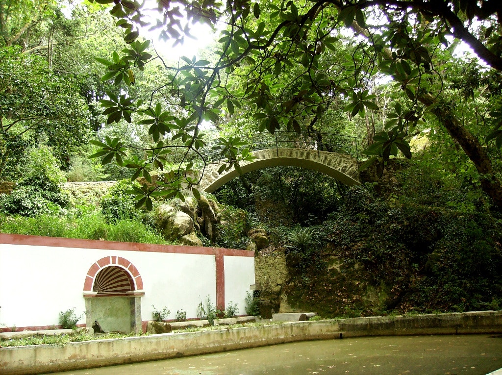  Enviada por J&eacute;ssica Barata 