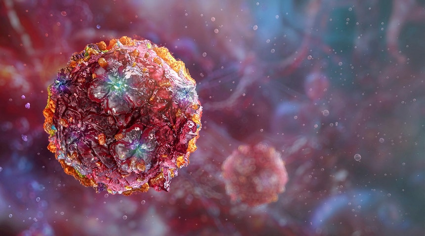 Imagem ilustrativa: Subida global da temperatura pode aumentar transmissão de vírus Chikungunya na