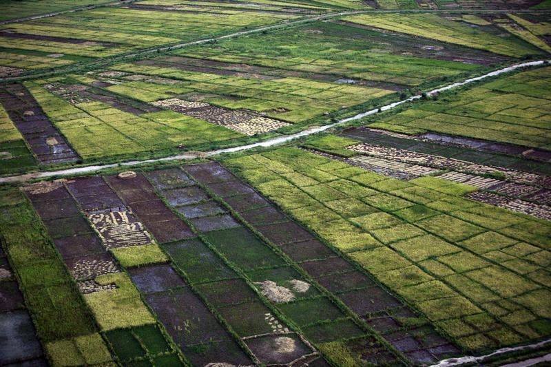 Foto: Reuters Foto: Reuters