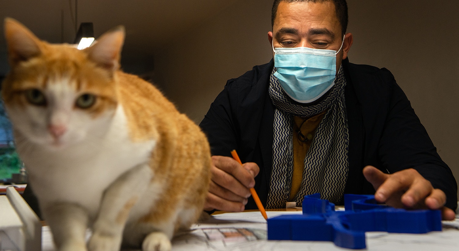  David Ara&uacute;jo - RTP  