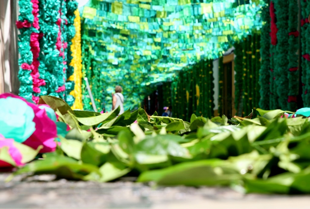  Nuno Patr&iacute;cio - RTP 