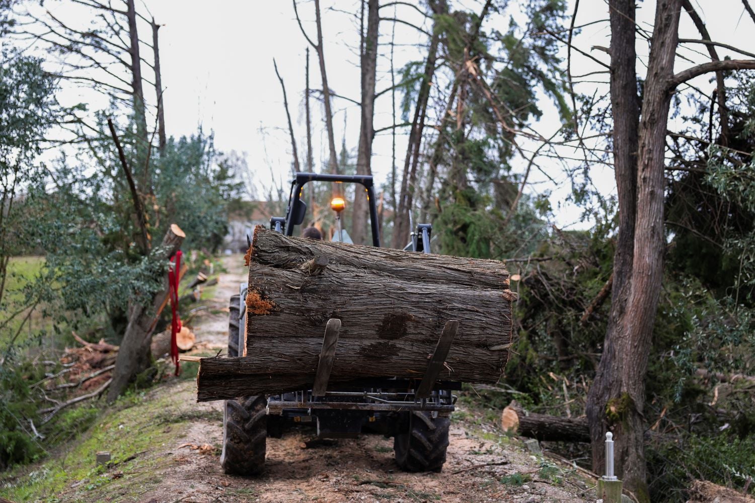 Ourém reopens 32 of the municipality's 34 schools on Monday
