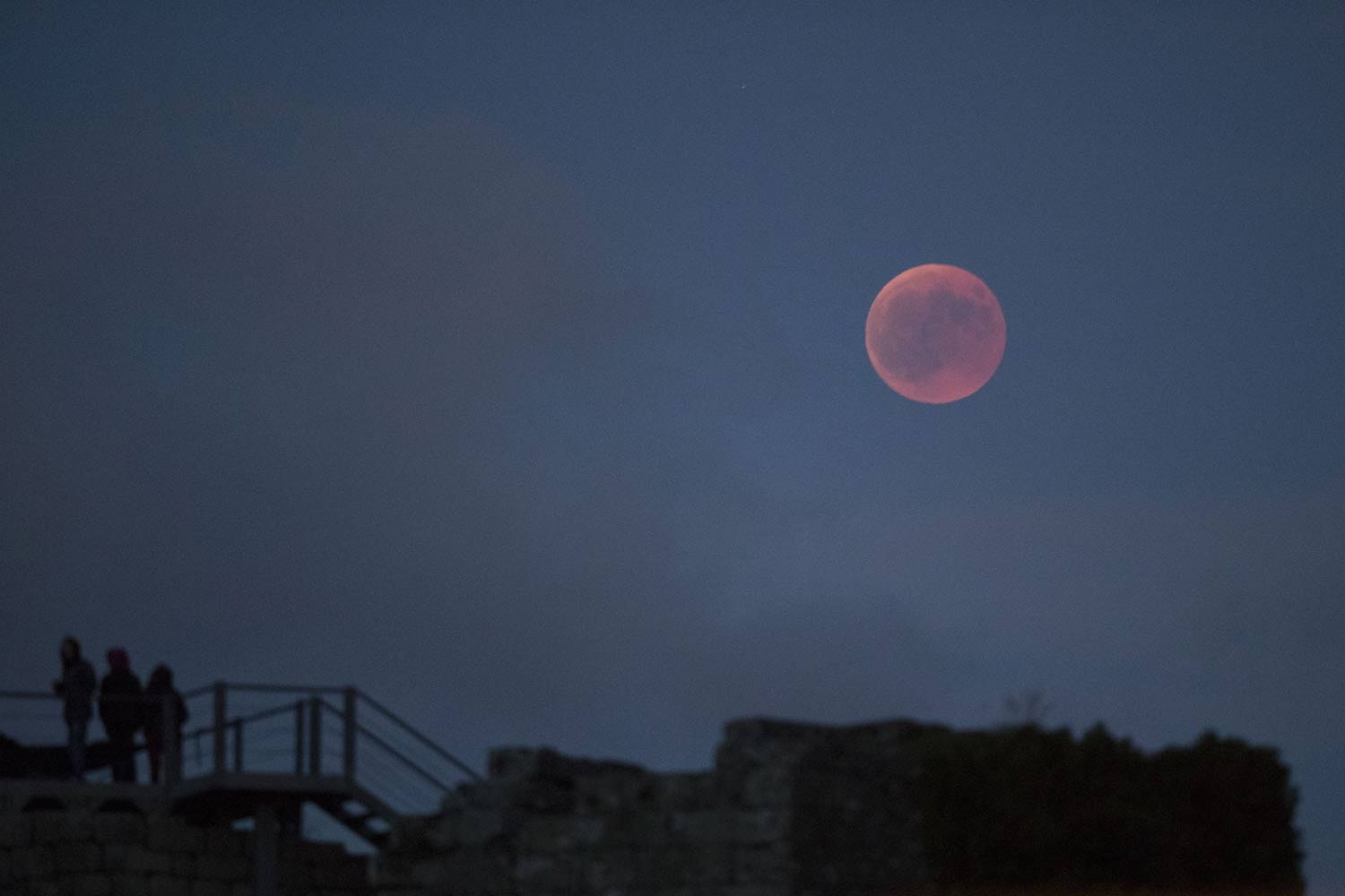  Pedro Sarmento Costa - Lusa 
