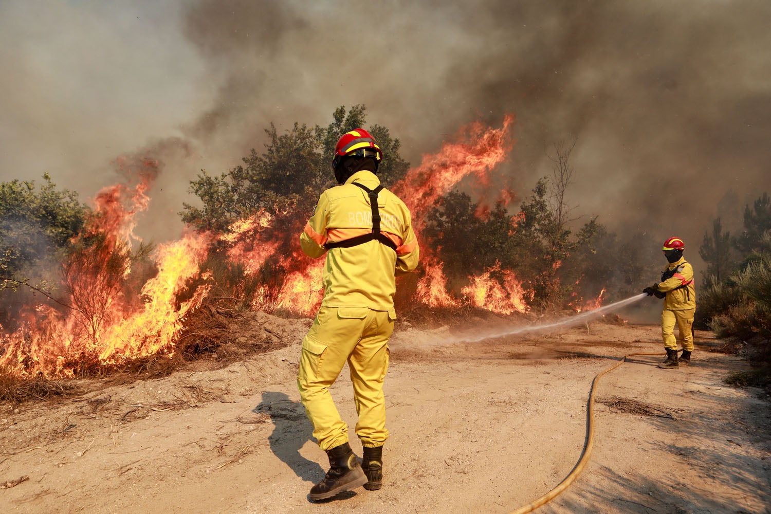 Incêndio em Valongo. Centenas de operacionais combatem chamas em zona de mato