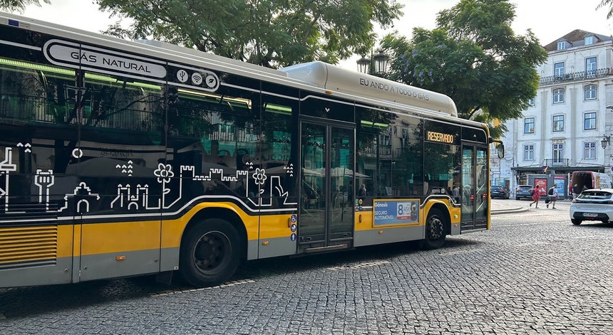 Imagem de Carris: quase 20% da frota não tem rampa para cadeiras de rodas