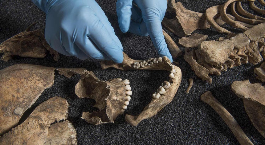 Investigadores analisaram isótopos de oxigénio dos dentes e isótopos de carbono e hidrogénio nos ossos, o que ajudou a revelar os hábitos alimentares das pessoas ali enterradas. 
