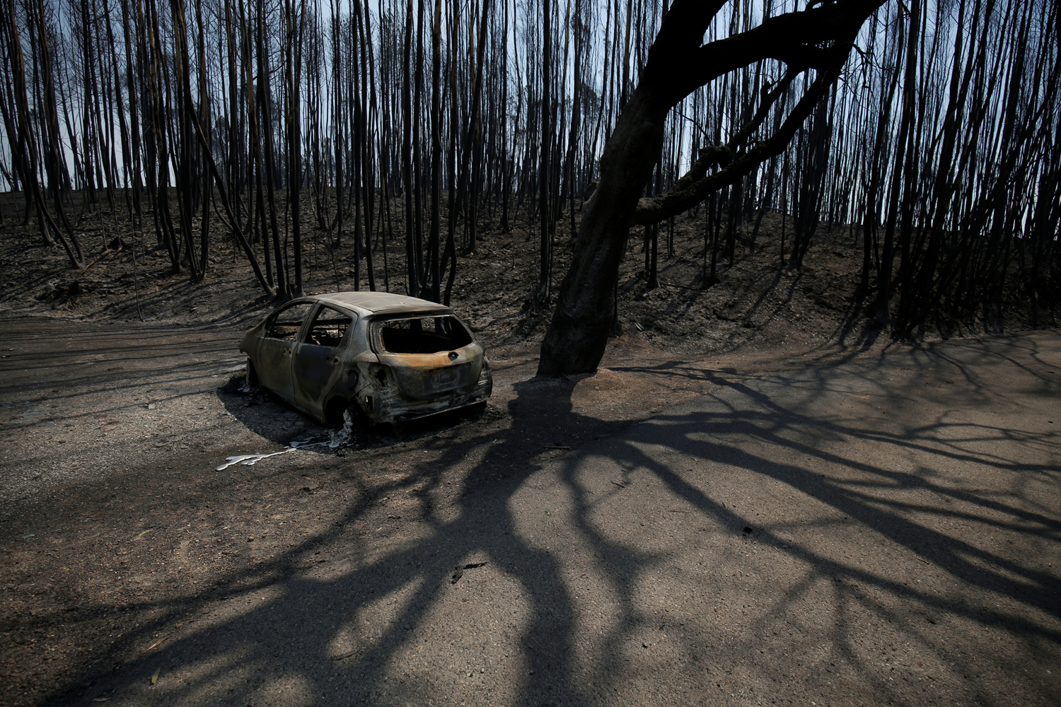  Foto: Rafael Marchante - Reuters  