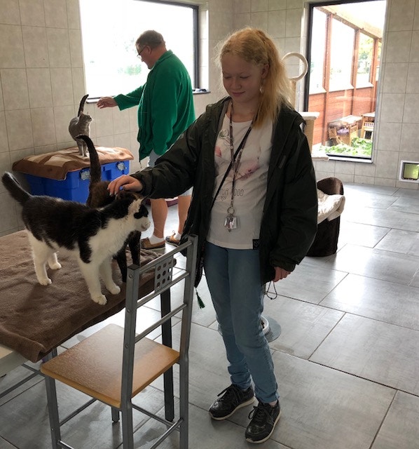  Andrea Neves - Antena 1 