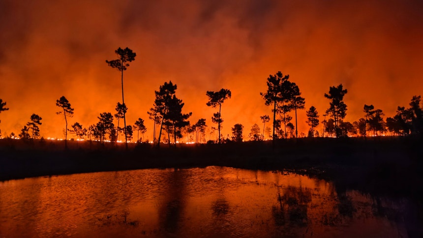 Fire risk areas