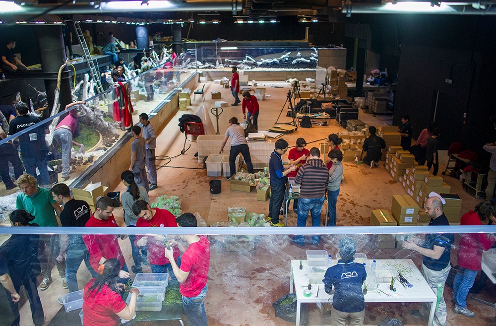  Pedro A. Pina / Ocean&aacute;rio  