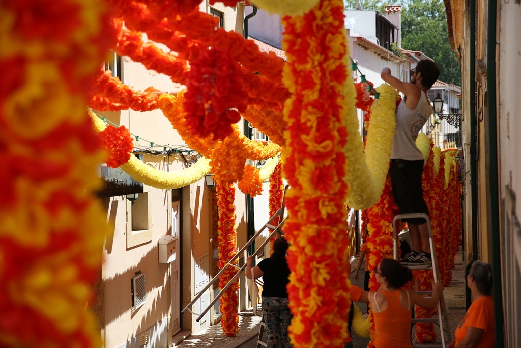  Nuno Patr&iacute;cio - RTP 