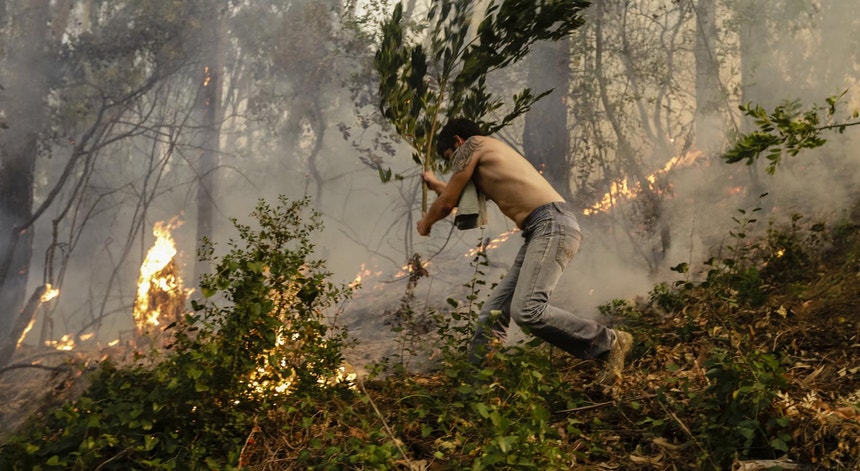 Um homem combate um foco de incêndio perto da aldeia de Cioga do Campo, Cantanhede, Coimbra, Portugal, a 12 agosto de 2017
