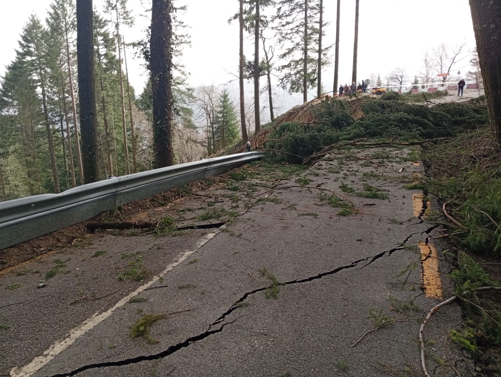 Bad weather: Infraestruturas de Portugal has resolved over 90% of road closures