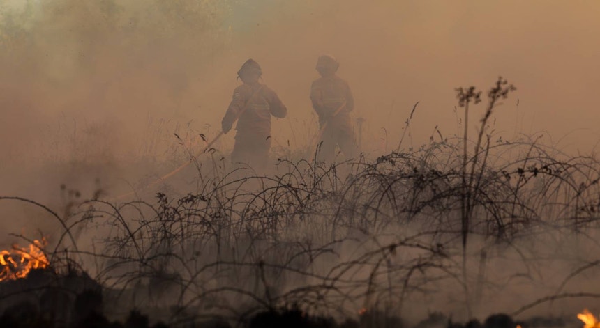Imagem de Incêndio em Vila Nova de Poiares chegou a aldeia de Sabouga