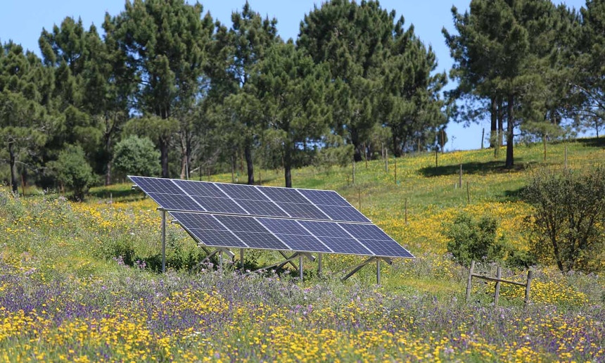 "Marco histórico". Renováveis asseguraram mais de dois terços da eletricidade em Portugal em julho