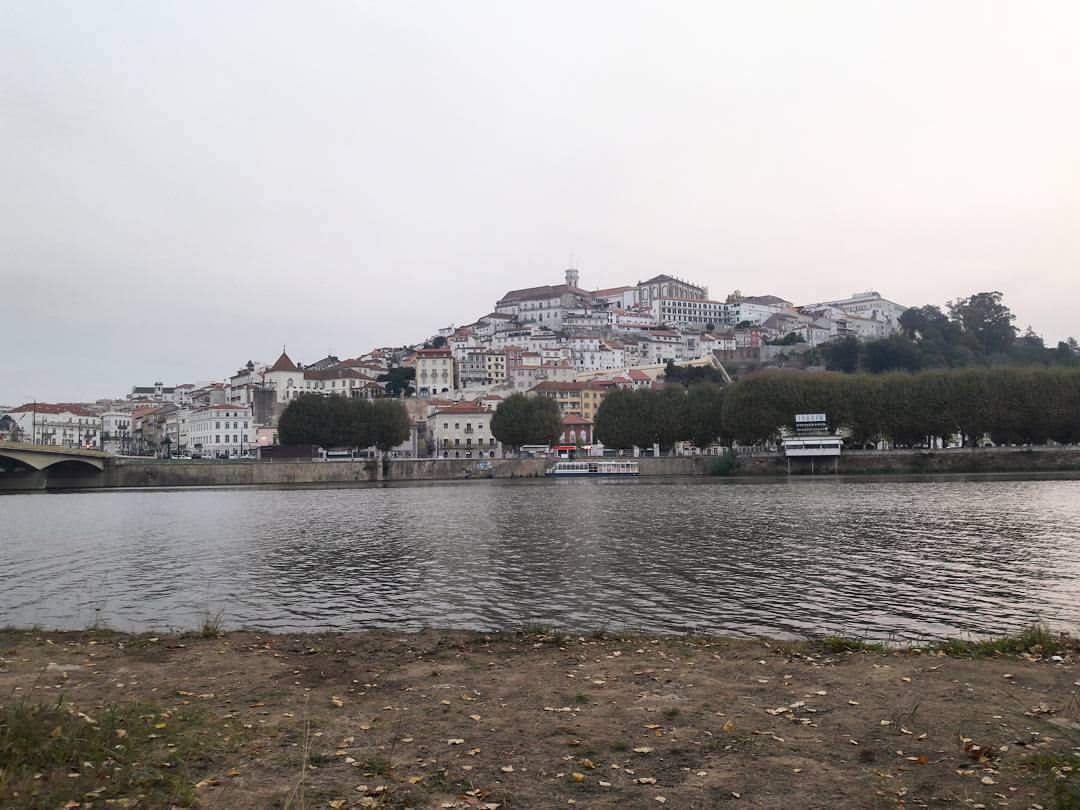 Coimbra City Council advocates for regionalisation to better respond to storms