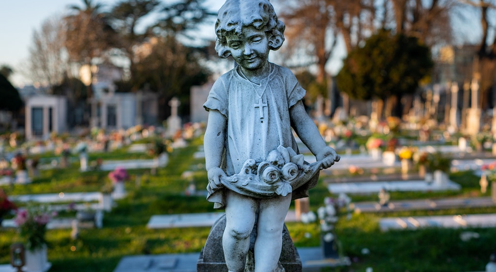  Foto: David Ara&uacute;jo - RTP  