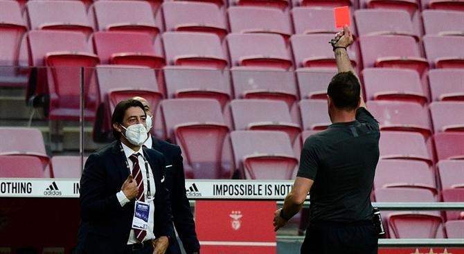 Rui Costa viu o seu castigo suspenso pela providência cautelar apresentada pelo Benfica
