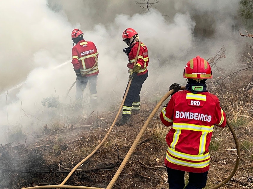 Mais de centena e meia de operacionais e oito meios aéreos combatem chamas em Carrazeda de Ansiães