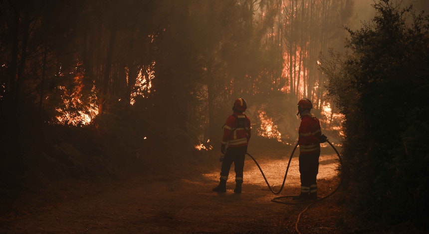 Imagem de Mais de 1.300 operacionais combatem dois grandes incêndios. Fogo de Vouzela é o mais complexo