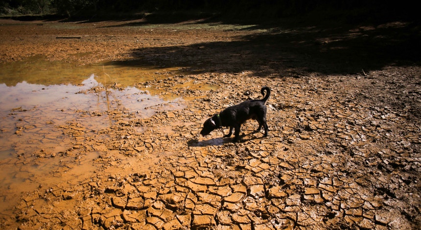 Imagem de "Super El Niño" pode causar mais de 450 mil mortes nos próximos seis meses