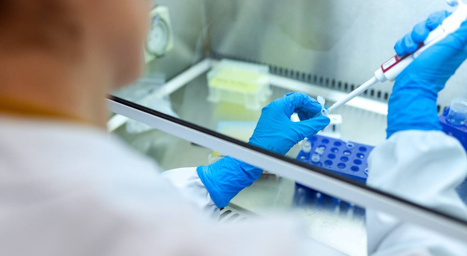 Investigação portuguesa desenvolve medicamento contra excesso de potássio