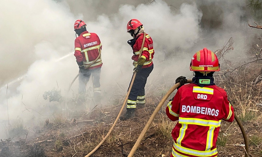 Imagem de Fogo em pasto obriga ao corte da A6 na zona de Vendas Novas