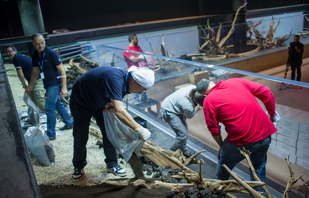  Pedro A. Pina / Ocean&aacute;rio  