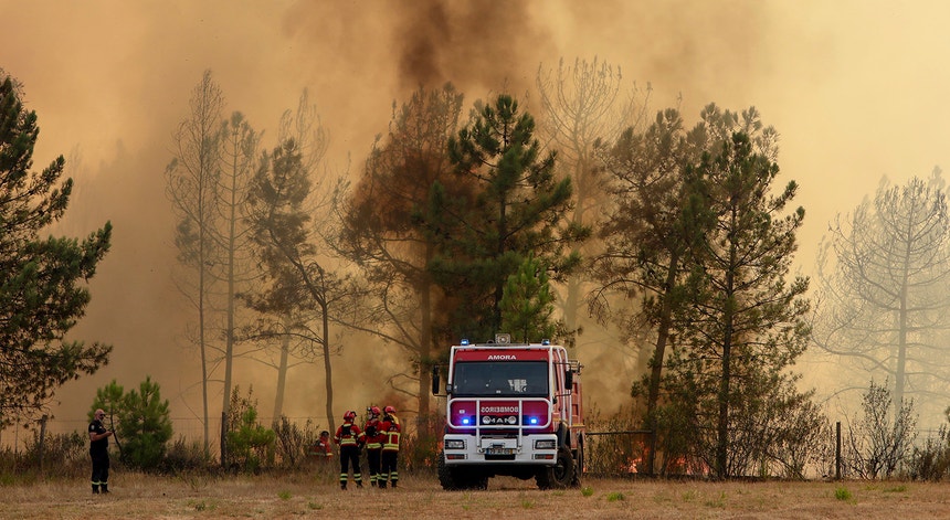 Incêndio em Castelo Branco. Chamas atingem concelho de Proença-a-Nova