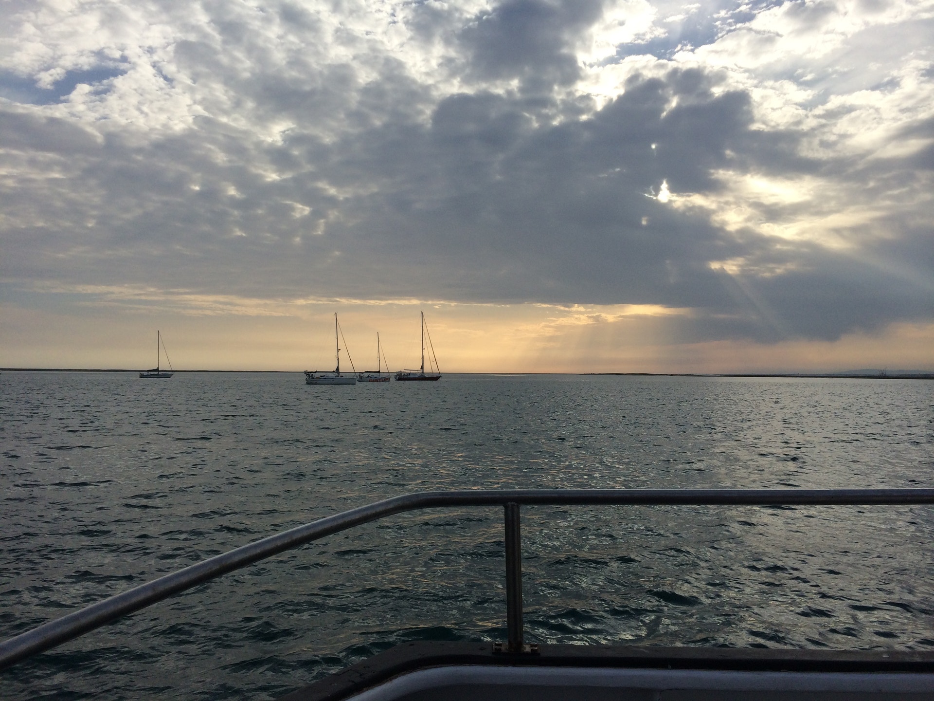  Enviada por Andreia Duarte 