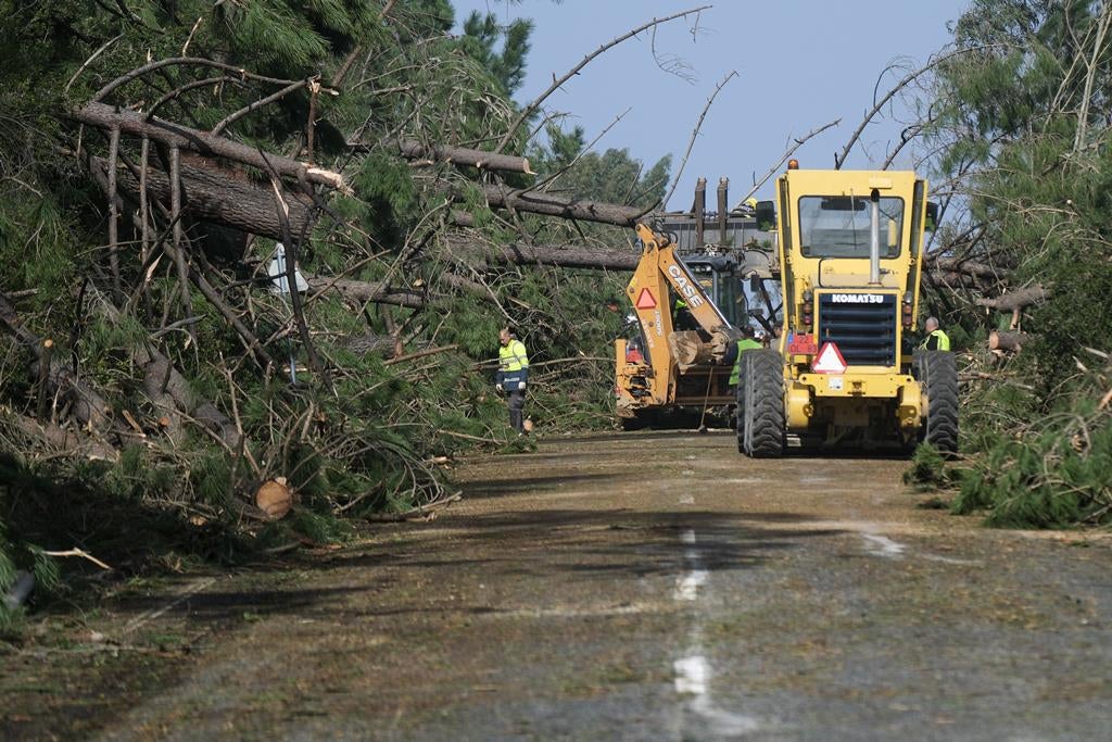 Alvaiázere recorded 60 million euros in damages