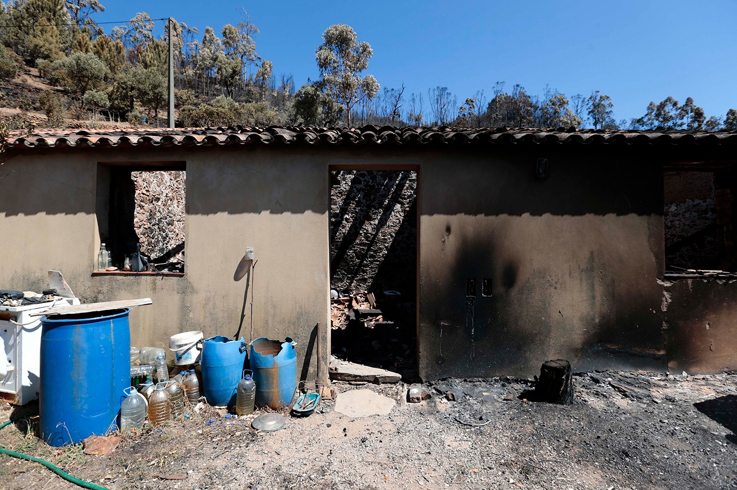  Portela do Vento, Monchique /Filipe Farinha - Lusa 