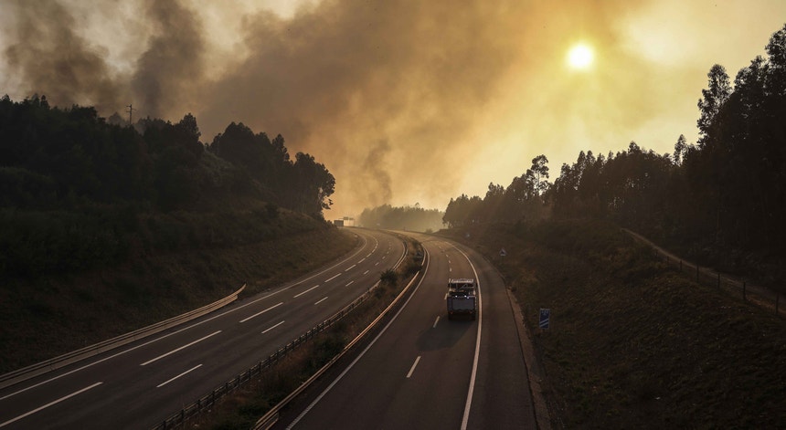 Incêndio em Vouzela já causou dois feridos graves e mobiliza mais de mil operacionais