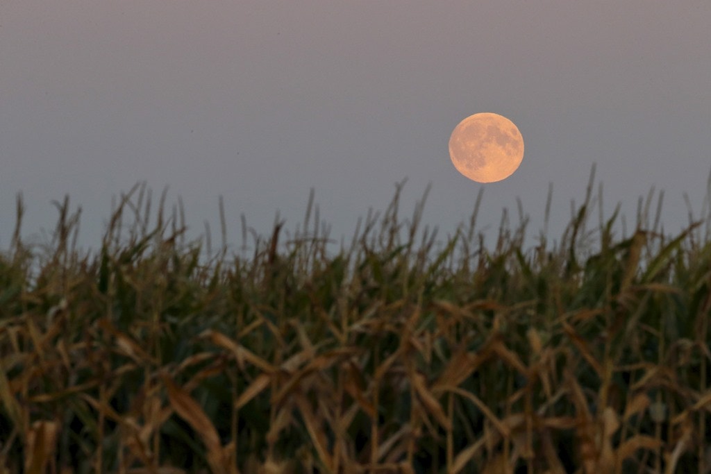  Blecourt - Fran&ccedil;a 