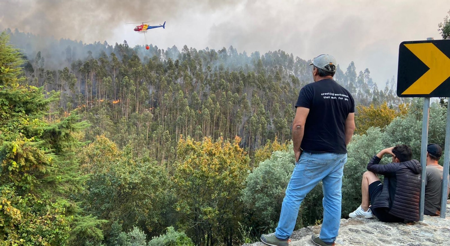  Os meios a&eacute;reos envolvidos fizeram centenas de descargas. Vilarinho, Sever do Vouga. / Foto: Andreia Filipa Novo - RTP 