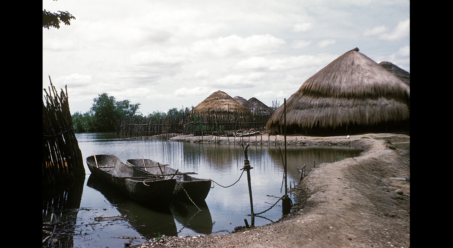  Moran&ccedil;a perto de um corpo de &aacute;gua - 1959 | Cr&eacute;dito: Ant&oacute;nio Saragga Seabra - IICT/ULisboa 