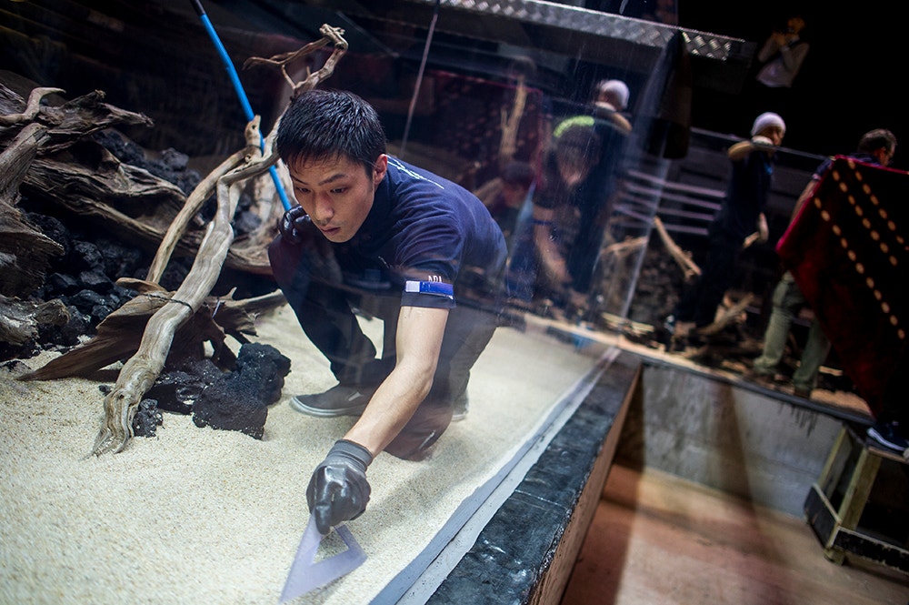  Pedro A. Pina / Ocean&aacute;rio  