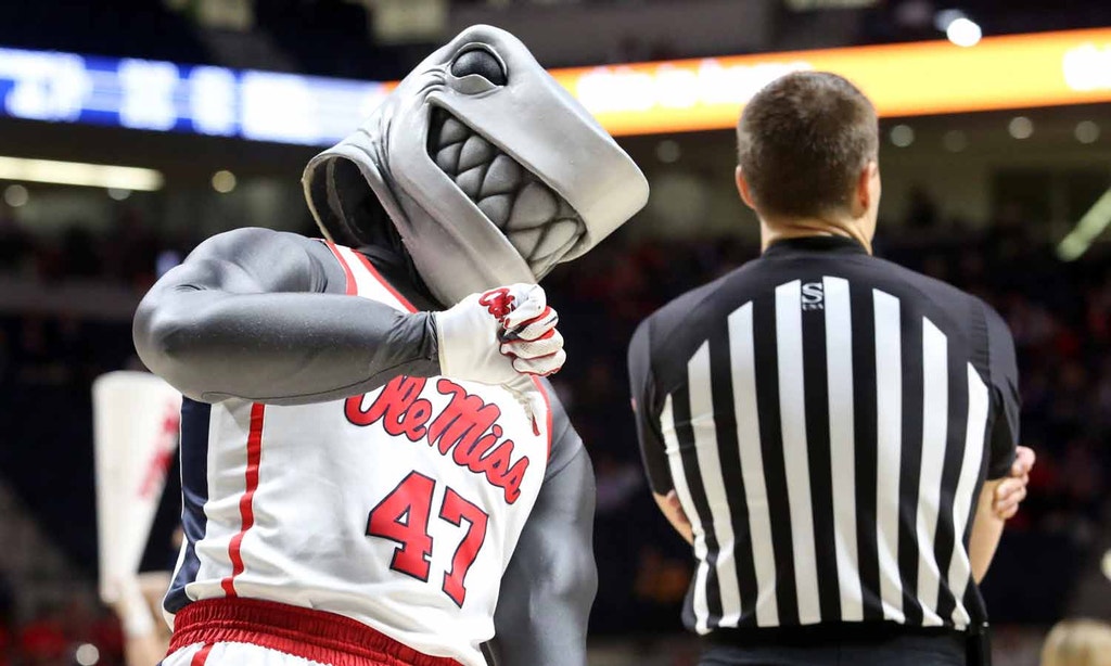 Imagem ilustrativa: Aviso à navegação com tubarão à vista