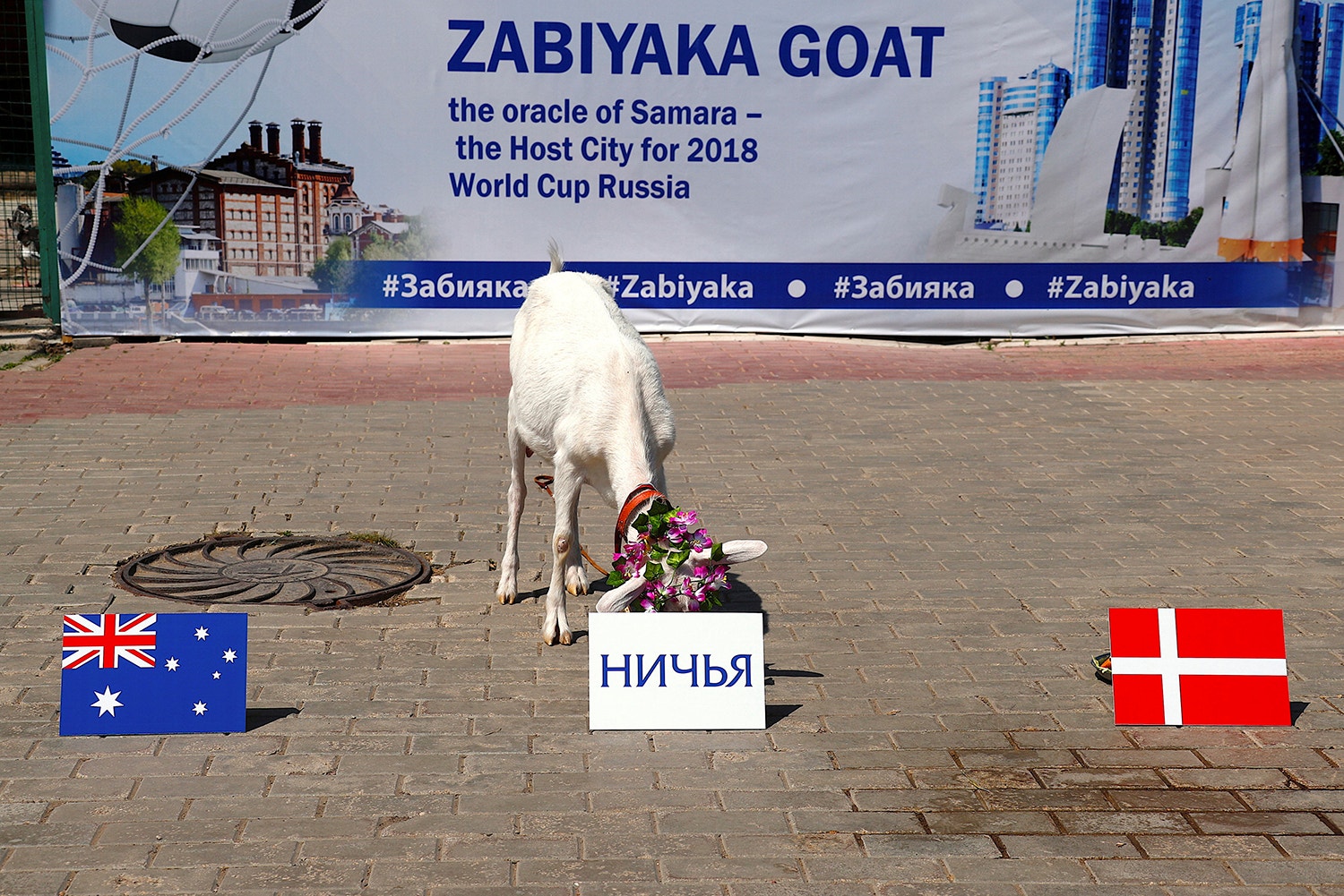  Foto: David Gray - Reuters 