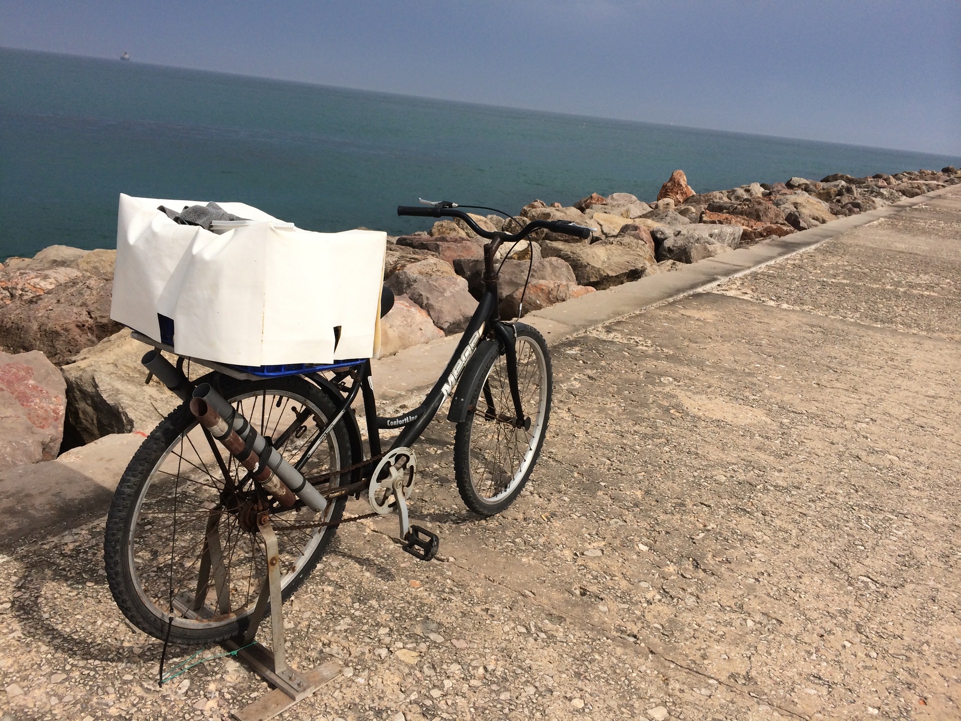  Enviada por Andreia Duarte 